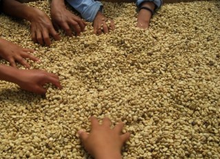 Intag Aseac Club Ecol 132