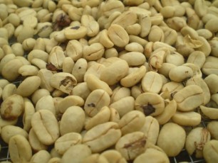 Pb030186